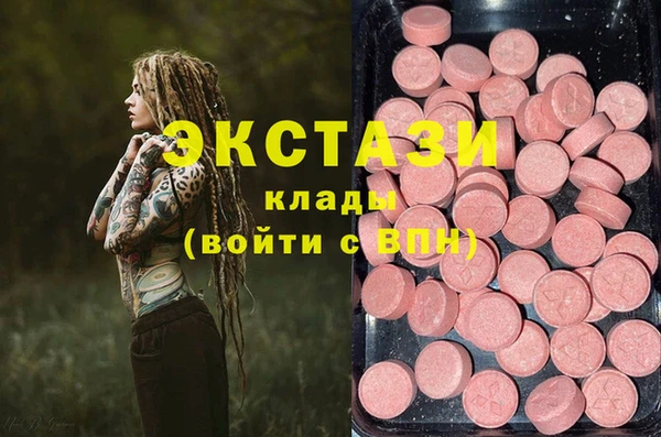хмурый Аркадак