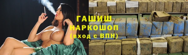 хмурый Аркадак
