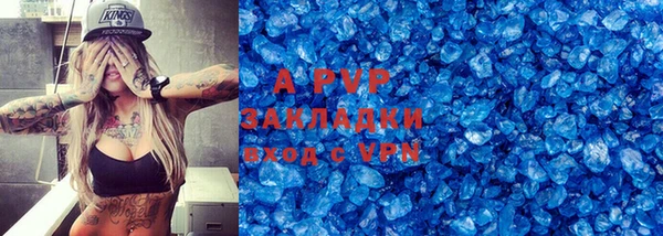 хмурый Аркадак