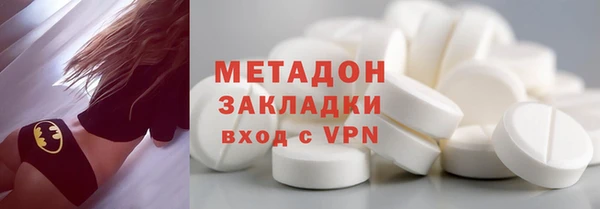 хмурый Аркадак