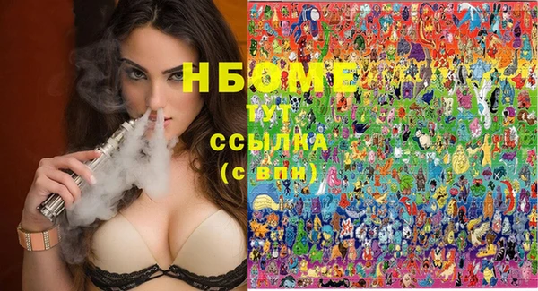 хмурый Аркадак