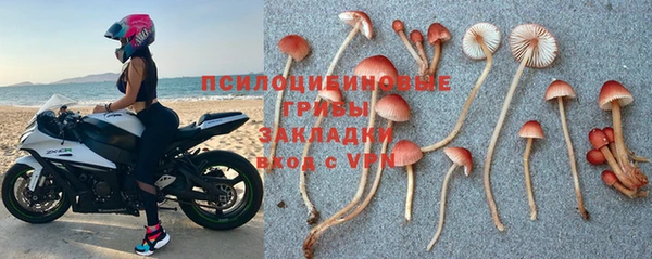 а пвп мука Армянск