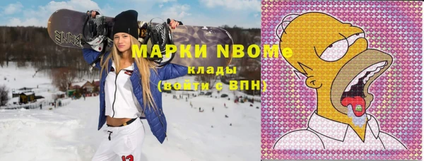 хмурый Аркадак