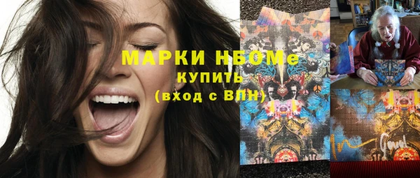 хмурый Аркадак