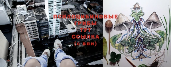 Альфа ПВП Арсеньев