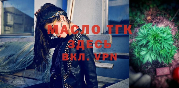 хмурый Аркадак