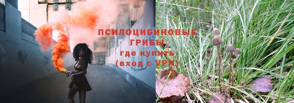 хмурый Аркадак