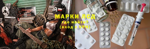 хмурый Аркадак