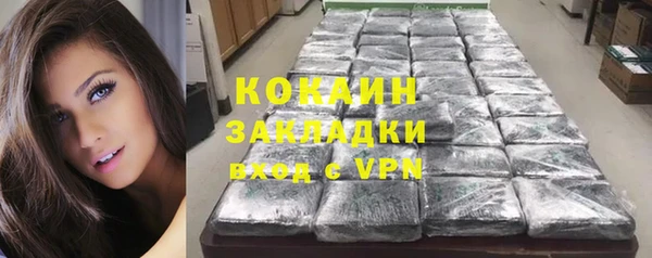 хмурый Аркадак