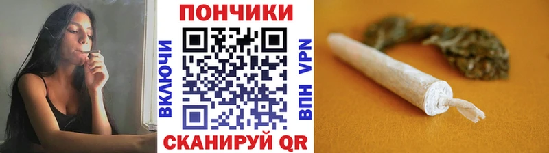 наркошоп  Сальск  дарк нет наркотические препараты  Канабис план 